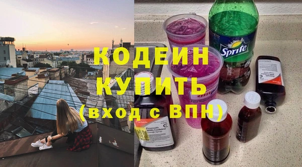 прущие грибы Вязники